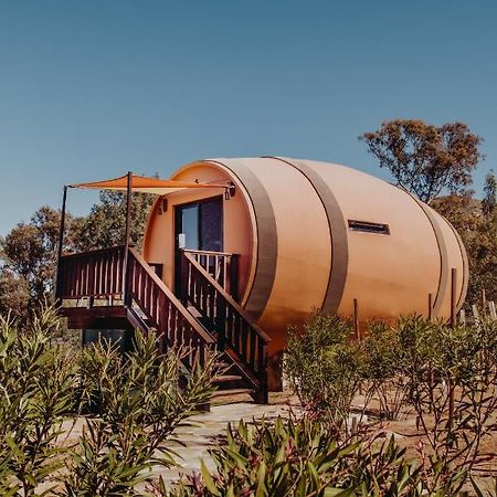 Finca El Mirador Hotel Valle de Guadalupe Kültér fotó