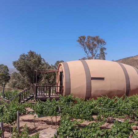 Finca El Mirador Valle de Guadalupe Kültér fotó