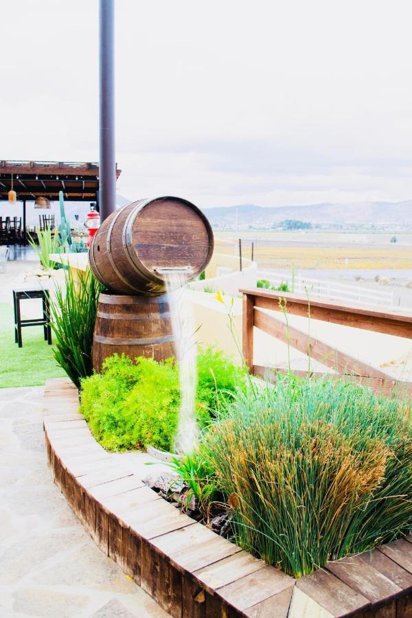 Finca El Mirador Valle de Guadalupe Kültér fotó