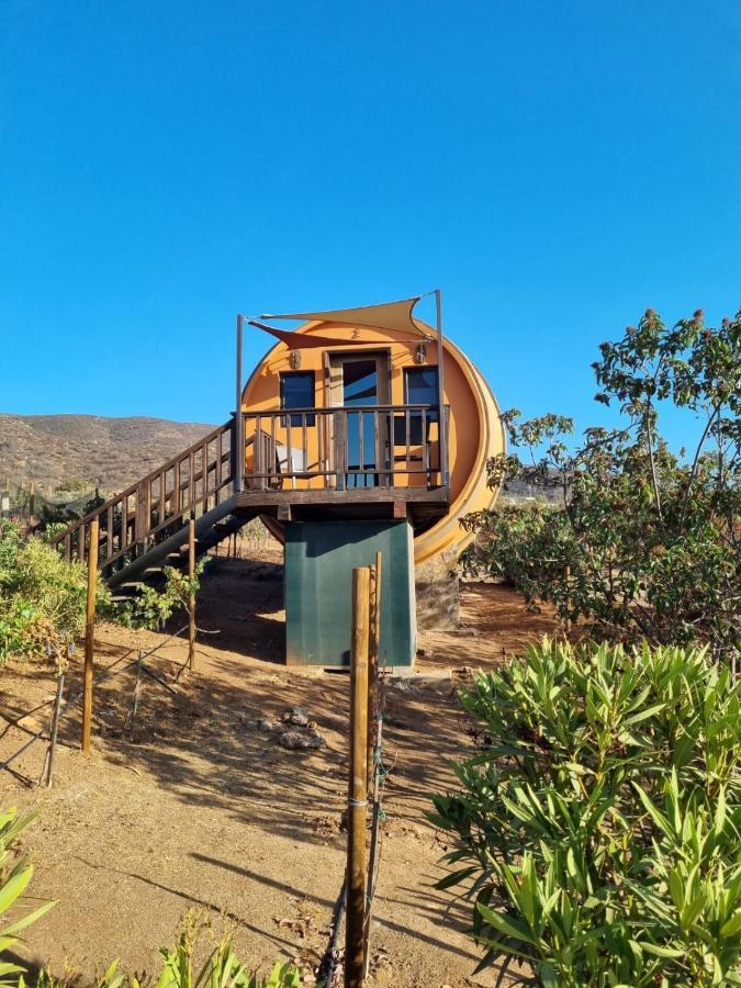 Finca El Mirador Hotel Valle de Guadalupe Kültér fotó