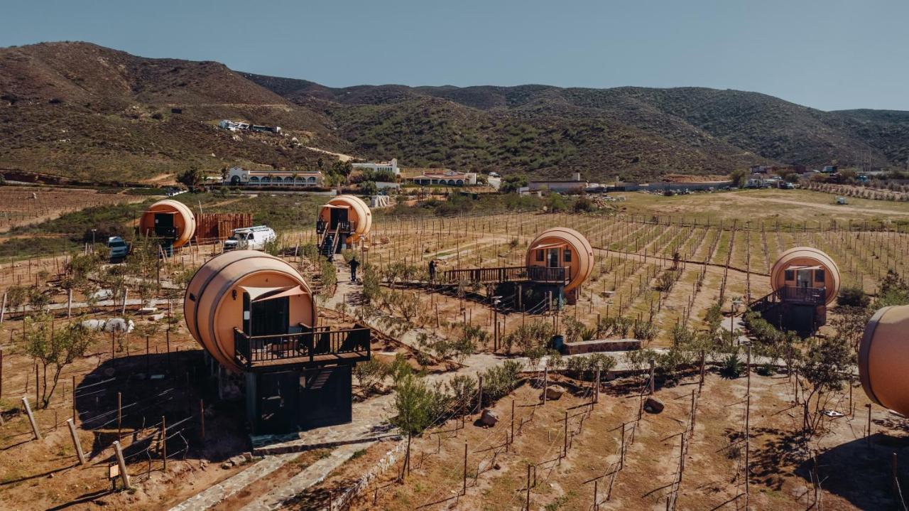 Finca El Mirador Hotel Valle de Guadalupe Kültér fotó