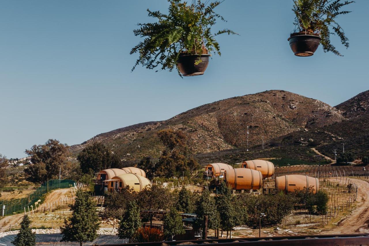 Finca El Mirador Hotel Valle de Guadalupe Kültér fotó