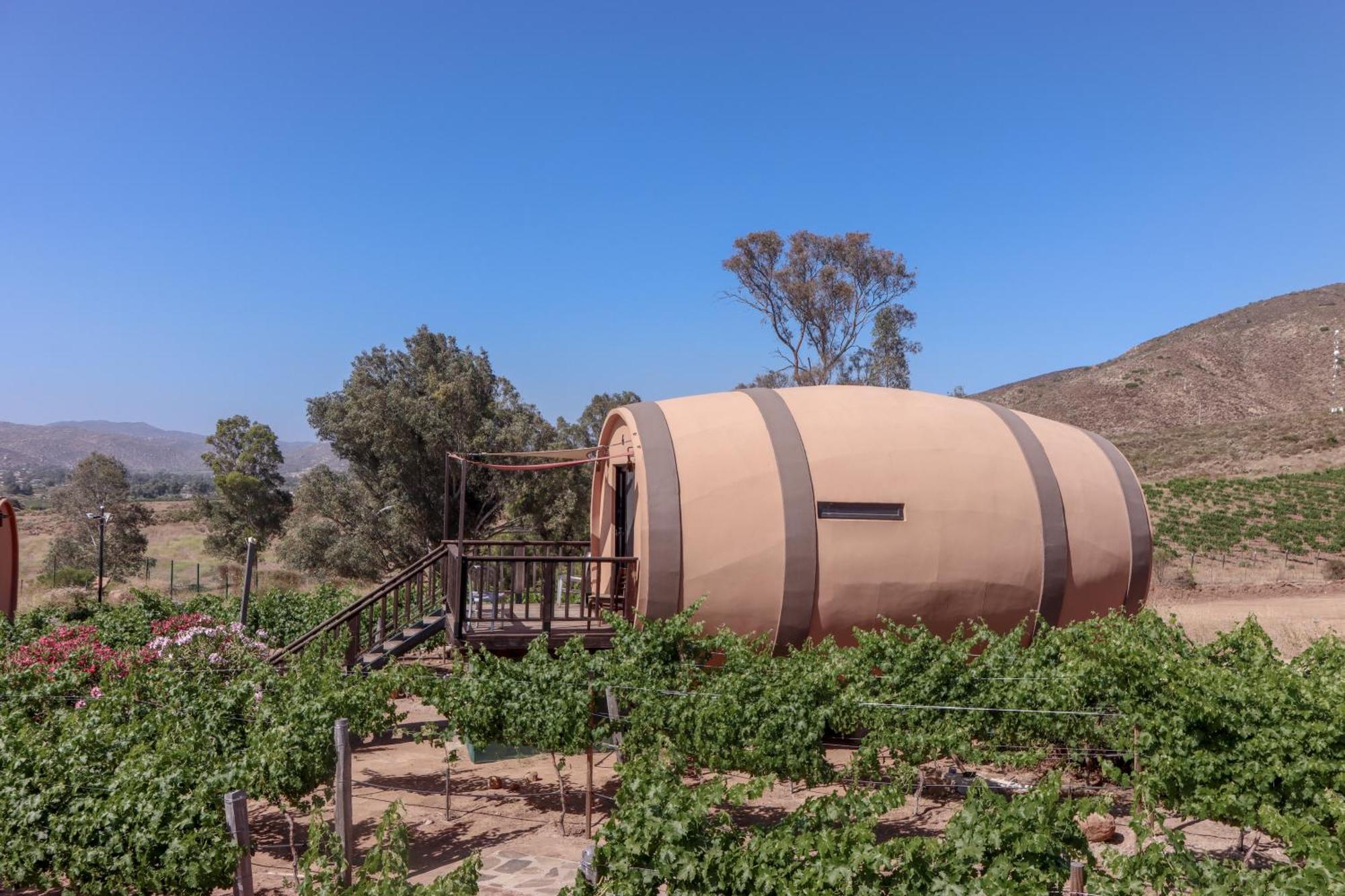 Finca El Mirador Valle de Guadalupe Kültér fotó