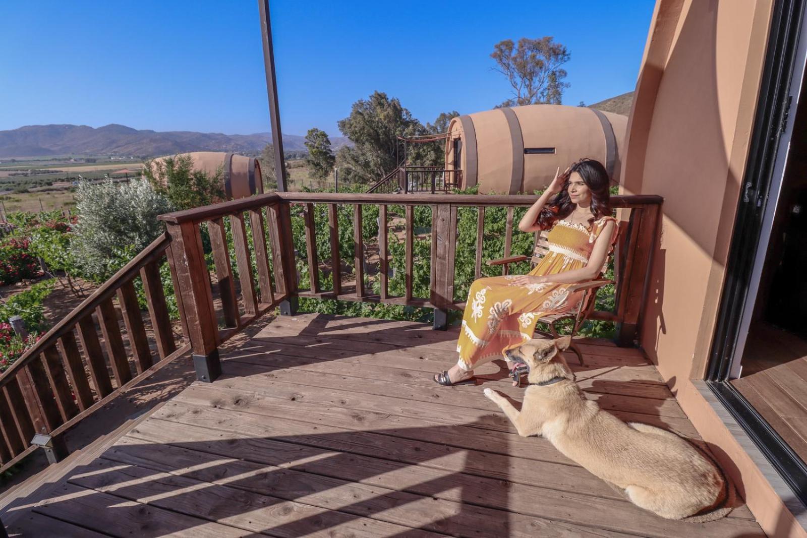 Finca El Mirador Valle de Guadalupe Kültér fotó