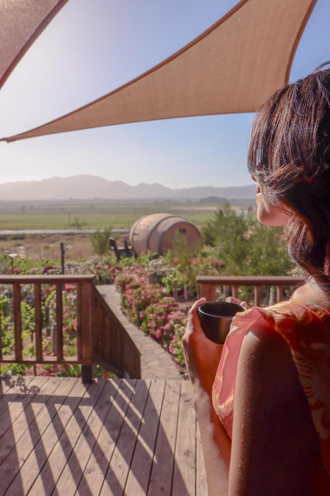 Finca El Mirador Valle de Guadalupe Kültér fotó